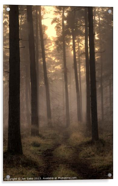 Majestic Misty Sunset Forest Acrylic by Jon Saiss