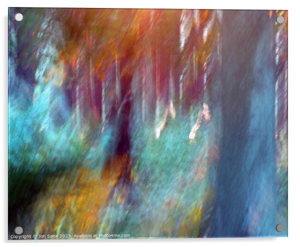 Woods at Sunset Acrylic by Jon Saiss