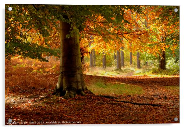 Autumn Colour Acrylic by Jon Saiss