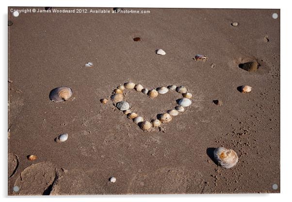 Heart of shells Acrylic by James Woodward