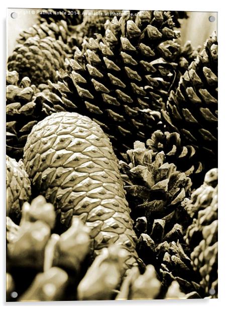  Pinecones Acrylic by Patrick Noble