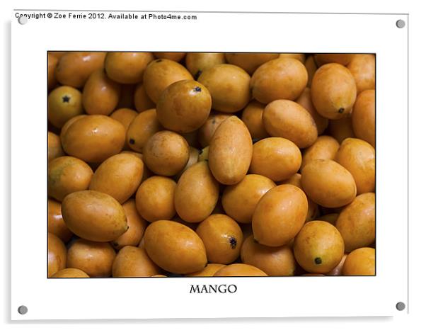 Market Mangoes against white background Acrylic by Zoe Ferrie