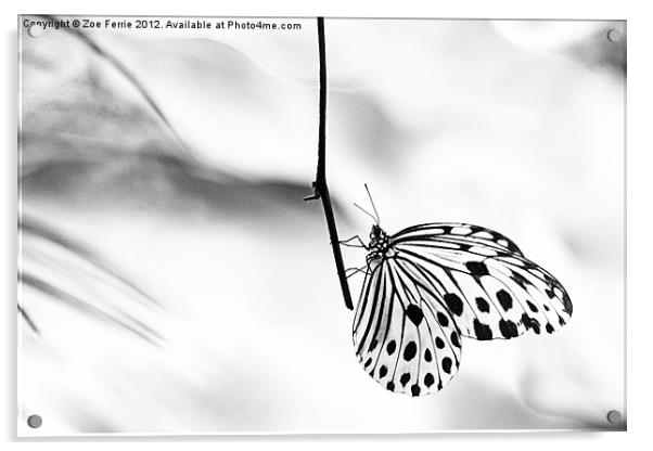 The Paper Kite Butterfly in B&W Acrylic by Zoe Ferrie