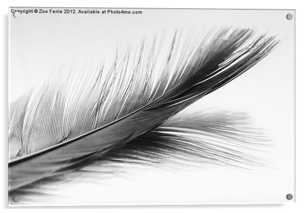 Feather and it's reflection in B&W Acrylic by Zoe Ferrie