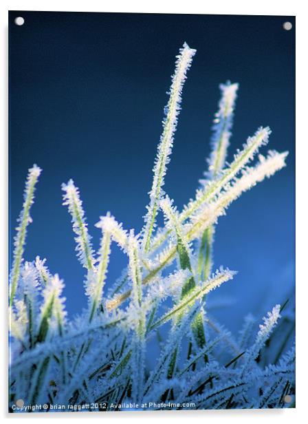 Winter Grass Acrylic by Brian  Raggatt