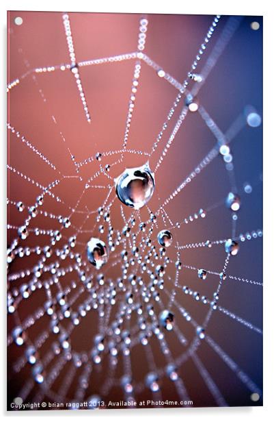 Spiders Necklace Acrylic by Brian  Raggatt