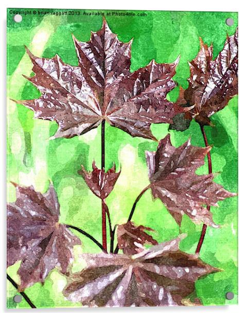 Forest foliage watercolour Acrylic by Brian  Raggatt