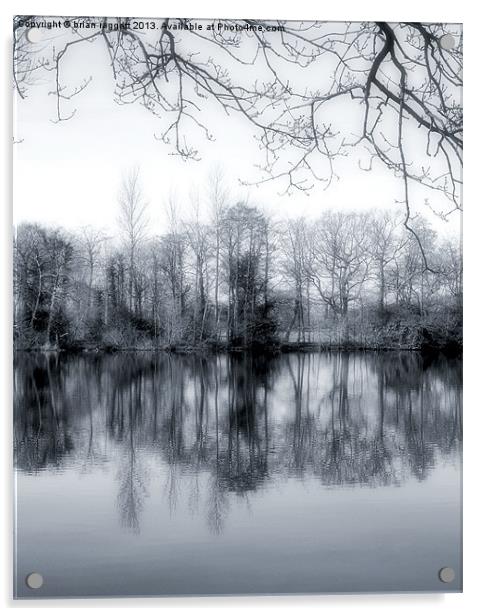 Lake Reflections Acrylic by Brian  Raggatt