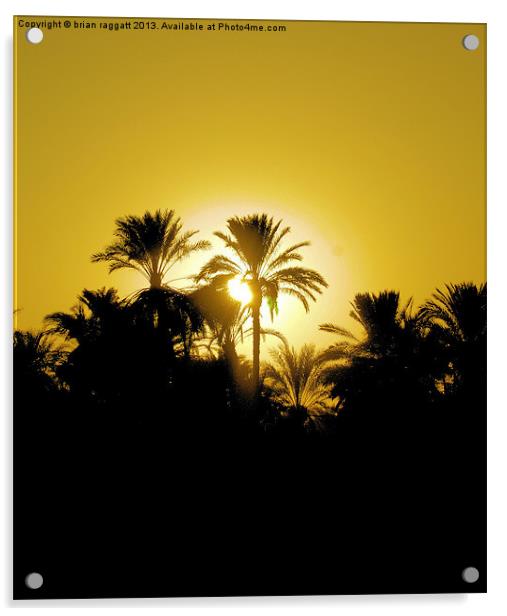 Luxor Nile Sunset Acrylic by Brian  Raggatt