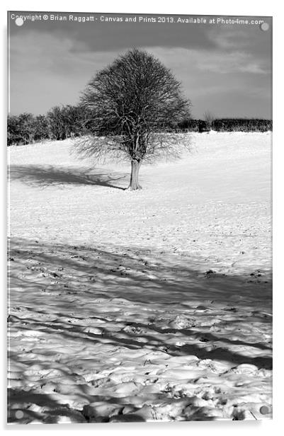 Tree on snow hill Acrylic by Brian  Raggatt