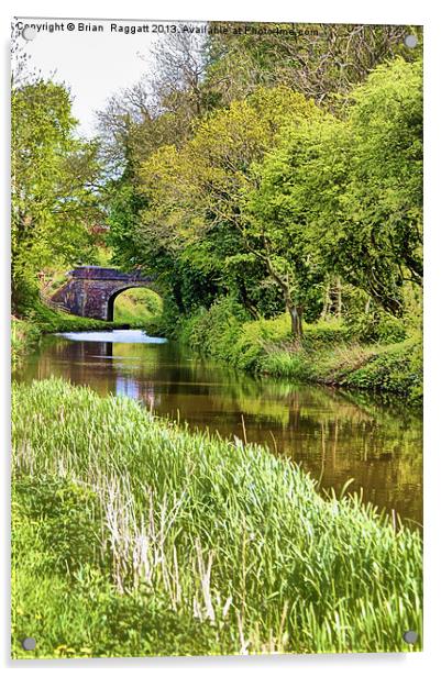 Spring Time Canal Acrylic by Brian  Raggatt