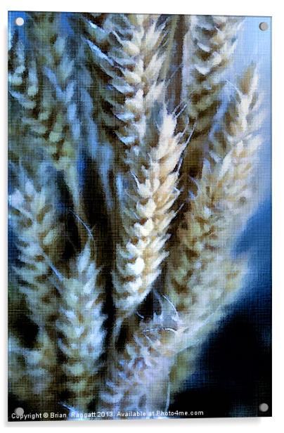 Dried Wheat Heads Bunch in Pastel Acrylic by Brian  Raggatt