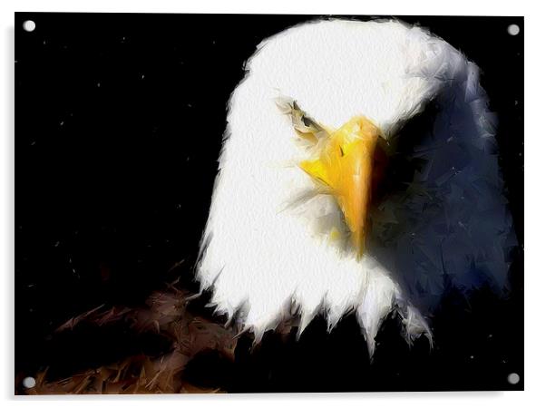 Eagle Acrylic by Brian  Raggatt
