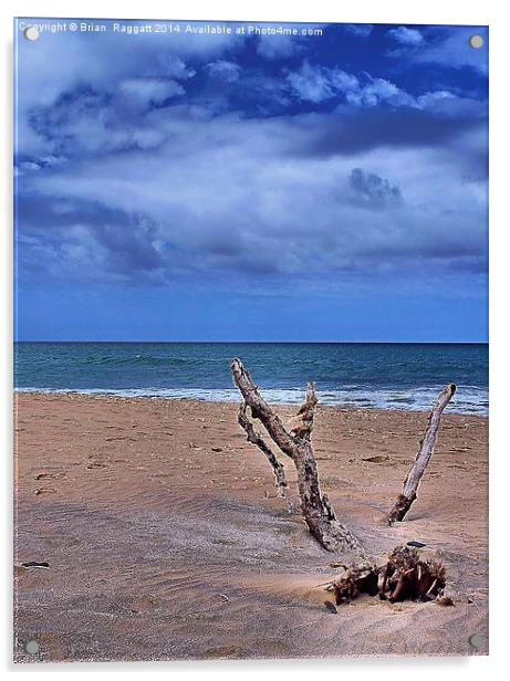 Desert Island Driftwood Acrylic by Brian  Raggatt