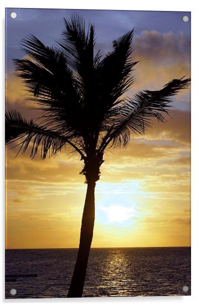 Tropical Sunrise Palm Silhouette Acrylic by Brian  Raggatt