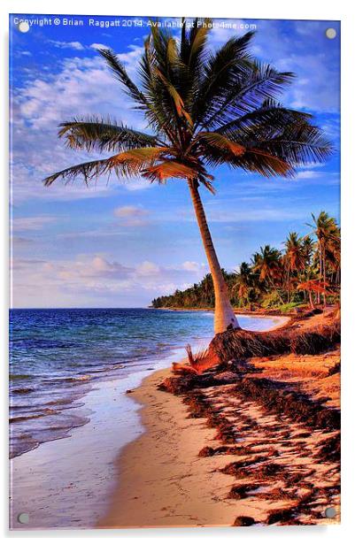 Tropical Island Beach Acrylic by Brian  Raggatt
