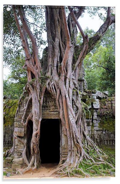  Angkor Temple Ta Prohm Siem Reap Cambodia Acrylic by Brian  Raggatt