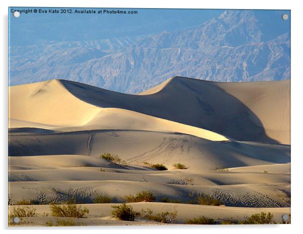 Death Valley Dunes 2 Acrylic by Eva Kato