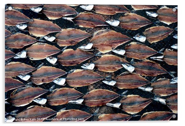 Sardines on Rack Acrylic by Eva Kato