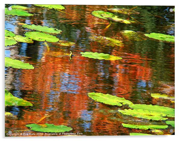 Lily Pads Over Reflections Acrylic by Eva Kato
