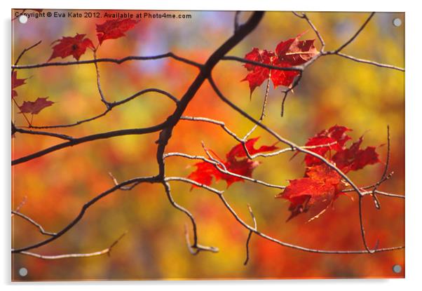 The Glory of Fall Acrylic by Eva Kato