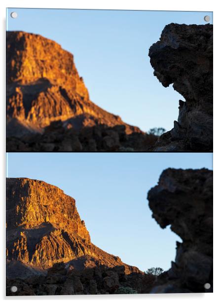 Volcanic gargoyle Tenerife Acrylic by Phil Crean