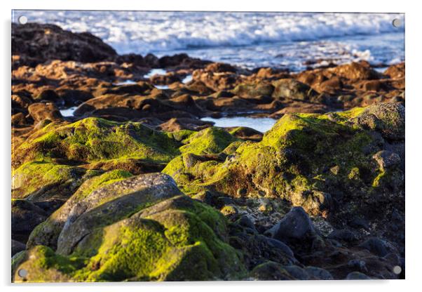 Shoreline rocks and sea Tenerife Acrylic by Phil Crean
