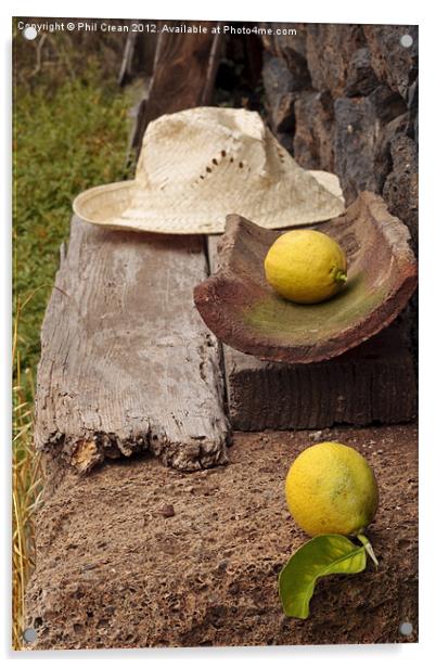 Lemons and straw hat found still life Acrylic by Phil Crean
