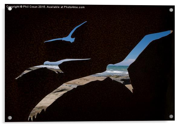 Gannet  reverse silhouette cut out, Cape Kidnapper Acrylic by Phil Crean