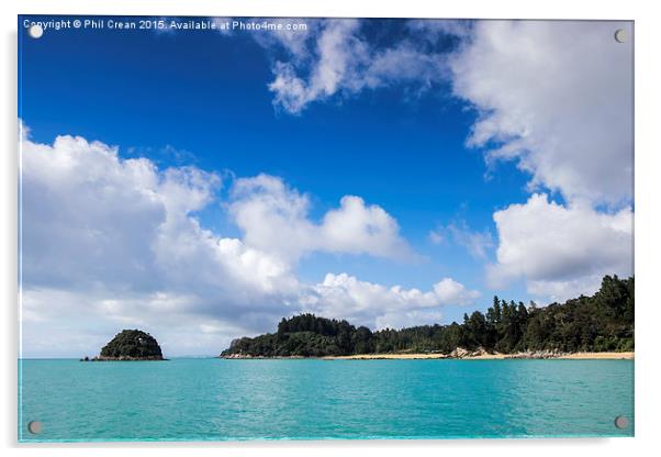  Abel Tasman seascape New Zealand Acrylic by Phil Crean