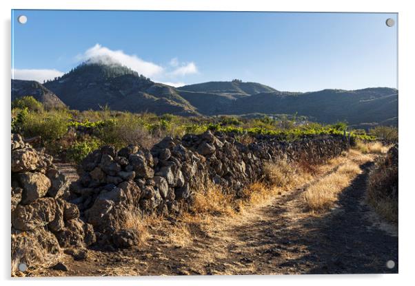 Rural path, Tenerife Acrylic by Phil Crean