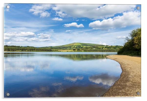 Blessington lakes wicklow ireland Acrylic by Phil Crean