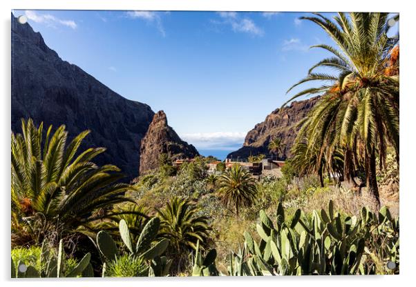 Masca village, Tenerife Acrylic by Phil Crean