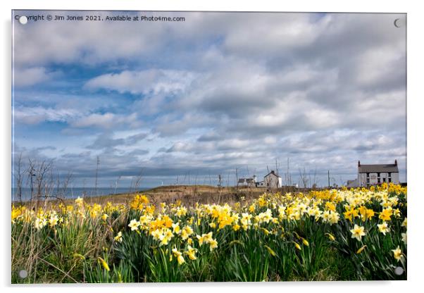 Springtime at Seaton Sluice Acrylic by Jim Jones