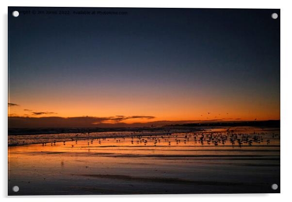 Silhouetted Seagulls on the Sand before Sunrise Acrylic by Jim Jones