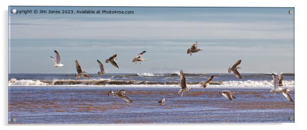 Seagulls Panorama Acrylic by Jim Jones