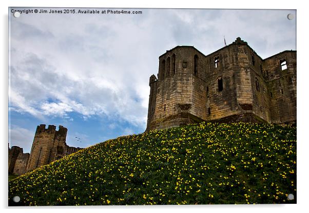  Warkworth Castle in springtime Acrylic by Jim Jones