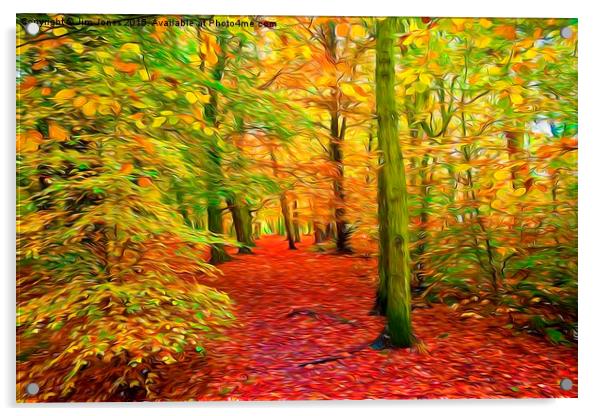  Autumn Woodland with swirly lines filter Acrylic by Jim Jones