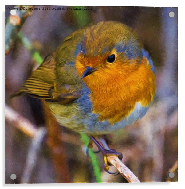 Artistic Robin Acrylic by Jim Jones