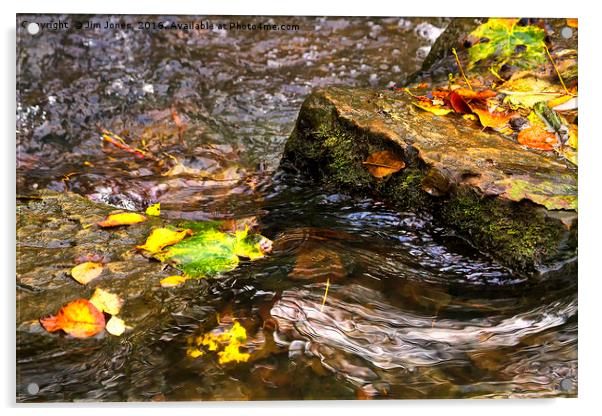 Clear water and autumn leaves Acrylic by Jim Jones