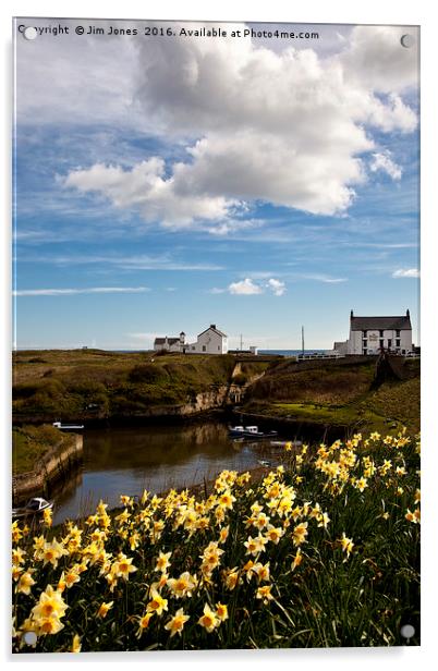 Seaton Sluice Harbour, Northumberland Acrylic by Jim Jones