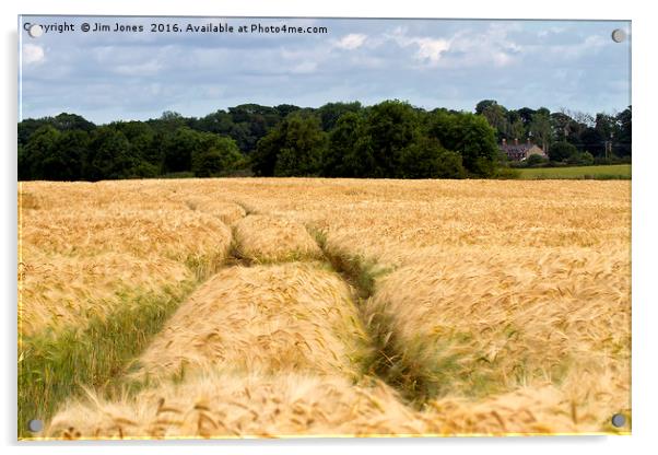 Golden Barley Field Acrylic by Jim Jones