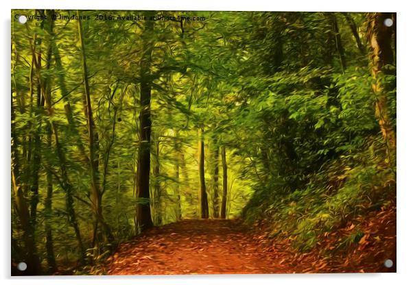Artistic Walk through the woods Acrylic by Jim Jones