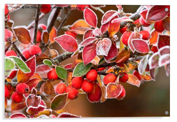 Frosted Berries Acrylic by Jim Jones