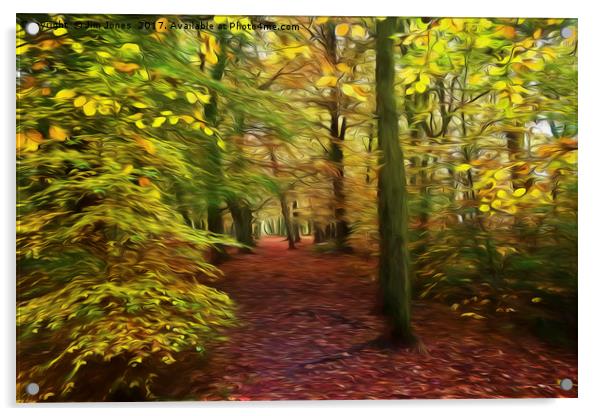 Walk in the Enchanted Forest Acrylic by Jim Jones
