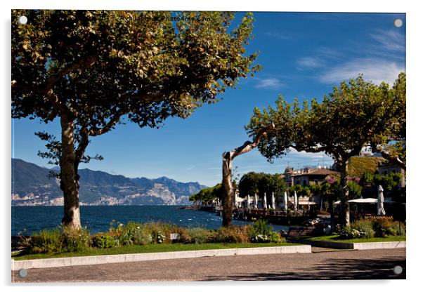 Torri del Benaco, Lake Garda Acrylic by Jim Jones