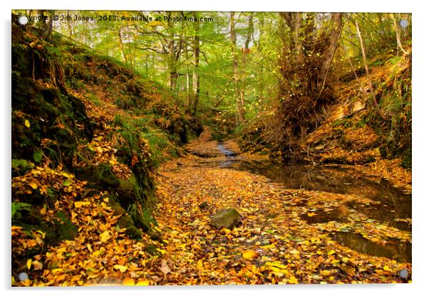 Woodland stream in Autumn Acrylic by Jim Jones