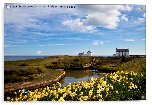 Seaton Sluice Springtime Acrylic by Jim Jones