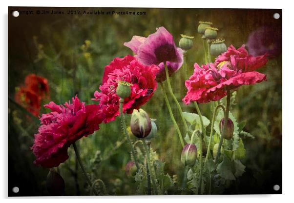 Vibrant Wild Poppies Acrylic by Jim Jones