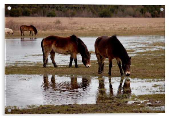 Thirsty horses Acrylic by Jim Jones